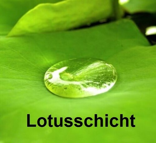 Lotus beschichtung - lotus, nano