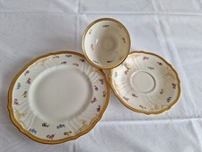 Rosenthal Sammeltassen-gedeck