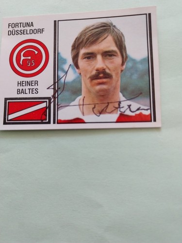 Panini sticker fortuna - panini,
