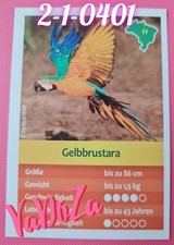 Entdecke Brasilien  -