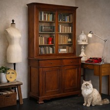 Antikes Bücherregal Louis