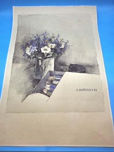 Antonini 1983 stillleben - antonini,