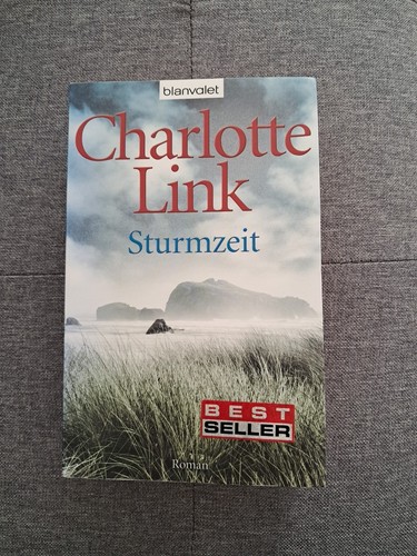 Sturmzeit von charlotte link - sturmzeit,
