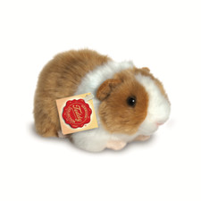 Meerschweinchen teddy hermann - teddy,