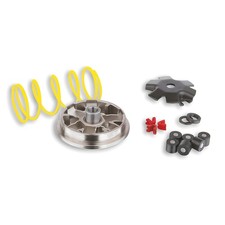 Variomatik Malossi Multivar