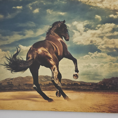 Bruce springsteen western - bruce,