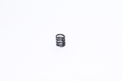 Team xray slipper clutch feder - clutch,