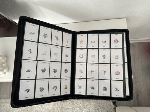 Pokémon pokedex binder - pokémon,