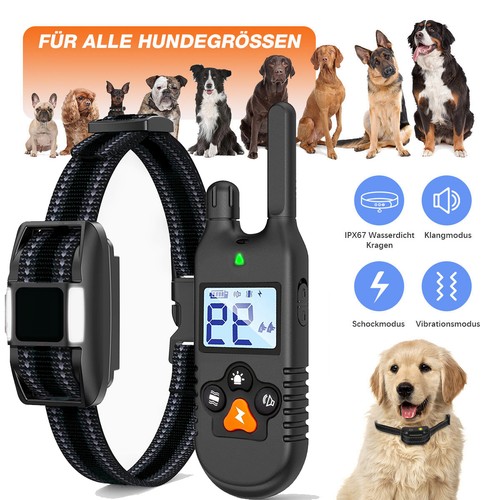 Elektroschock pet dog - pet, training