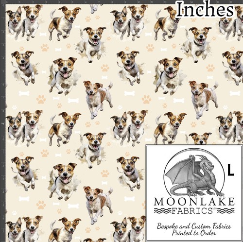 Jack russell dog running - jack,