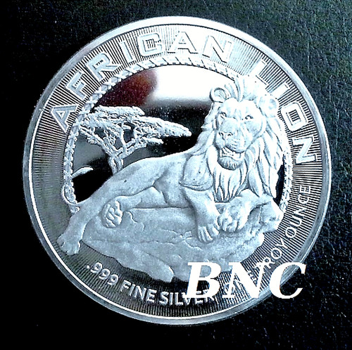 African lion 2017 - -, 1