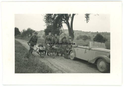 Orig foto adler trumpf - foto,