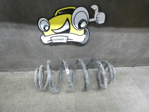 Feder hinten rechts combo - hinten,