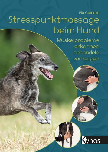 Stresspunktmassage beim hund - stresspunktmassage,