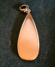 Fossil Anhänger / Edelstahl