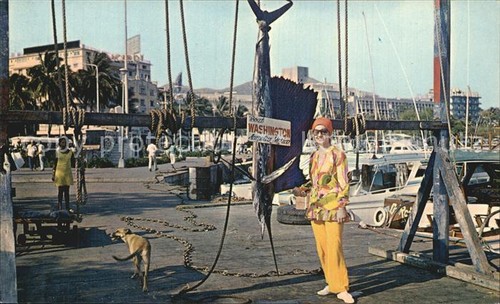 Acapulco sailfish - acapulco,