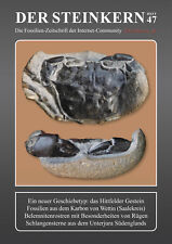 Der Steinkern 47: Hittfeld bei