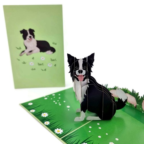 Pop karte border - 3d, karte: