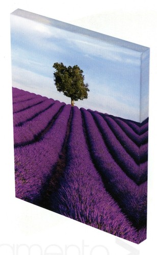Photorec bedrucktes - photorec,