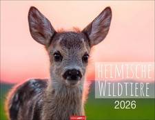 Heimische Wildtiere Kalender 2026 | Kalender | Tierkalender Weingarten | 14 S.