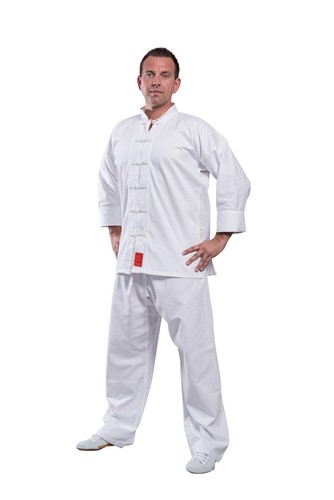 Phoenix shaolin kung fu - phoenix,