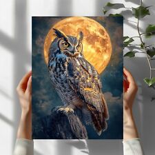 Eule bei Vollmond Premium