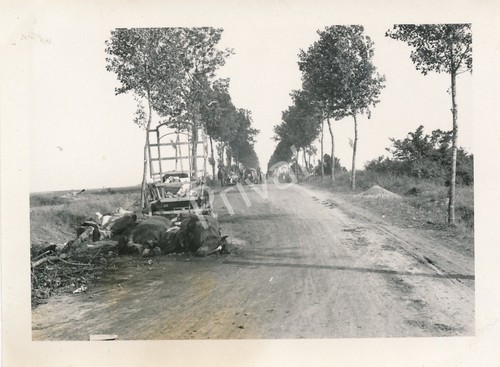 Foto ww2 military - military, planwagen