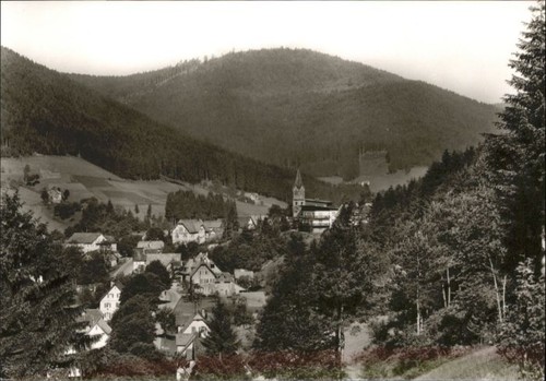 Mitteltal - ,