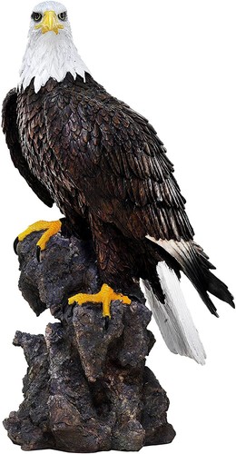 Weißkopfseeadler aus poly - weißkopfseeadler,