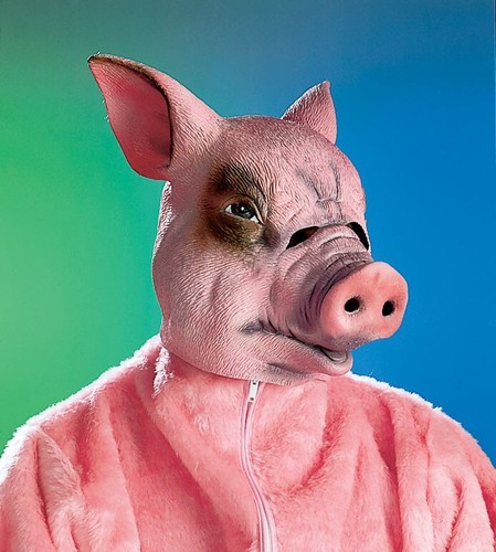 Schwein schweinemaske - schwein,