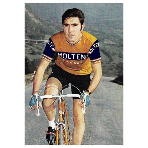 Maillot retro equipo molteni - retro,
