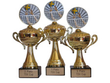 3 Volleyball-Henkelpokale mit