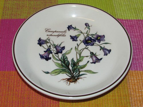 Villeroy boch botanica - &,