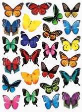 Schmetterling eßbar