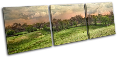 Landscape countryside field - landscape,
