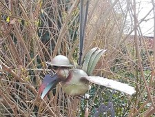 Vogel, Rabe mit Zylinder zum