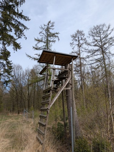 Ansitzkanzel dach für - ,