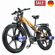 Dual-Motor E Bike 2000W