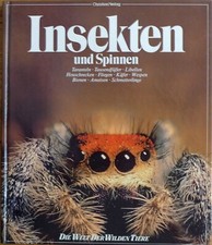 Insekten und Spinnen - Die