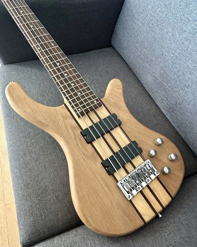 Harley benton string - harley, 6