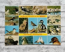 AK Nordsee Fereiengrüße