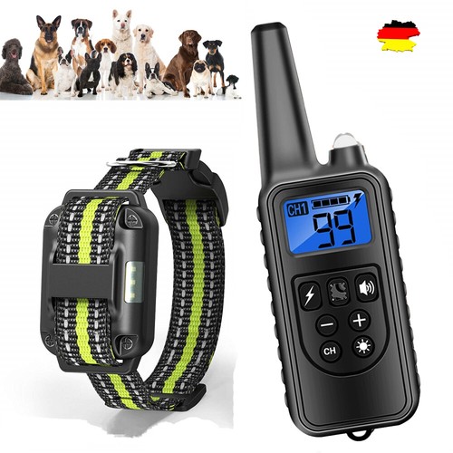 800m hund ausbildung - hund,