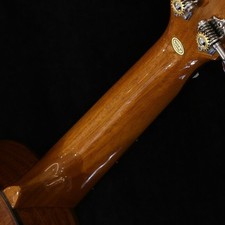 Ohana Ukulelen TPK-70G