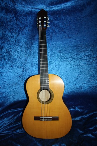 Alte meistergitarre von hubert - alte,