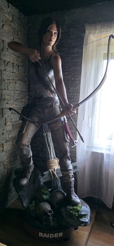 Tomb raider 2013 lara croft - raider,