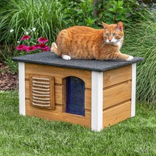 Katzenhaus Outdoor Winterfest