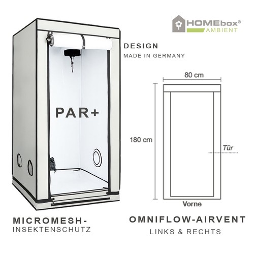 Homebox ambient q80 - homebox,