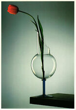 CPM B3115 DAVID PALTERER, COLL. ALTEREGO 1987 (d1321)