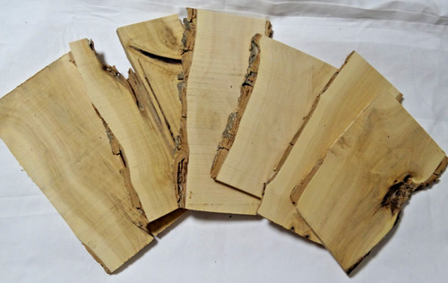 Holunder holz brett bohle - brett,