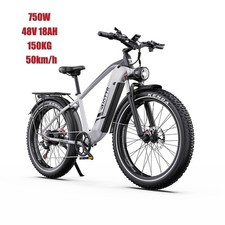 750W E-Mountainbike DUOTTS F26